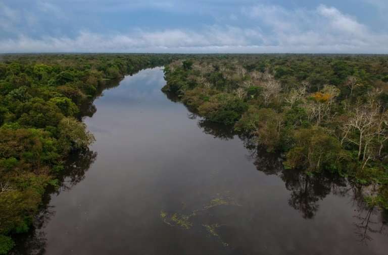 Illegal mining puts at risk rivers like the Jaraua river in the Mamiraua Sustainable Development Reserve in Brazil's Amazonas st