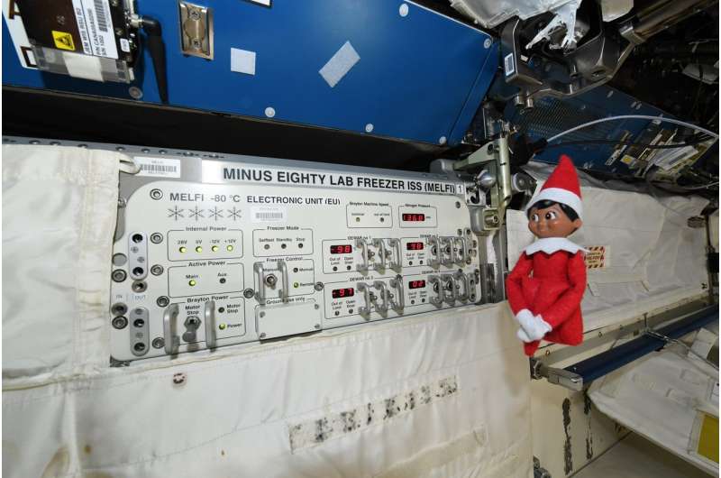 Image: Elf on the ISS