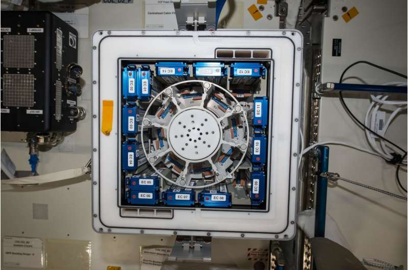 Image: Kubik on Space Station