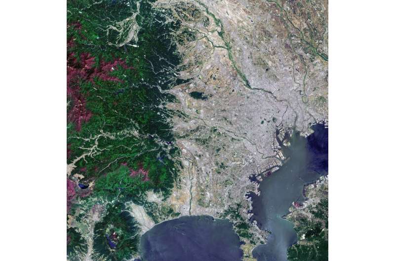 Image: Tokyo from orbit