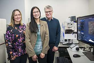Imaging collaboration sheds new light on cancer growth