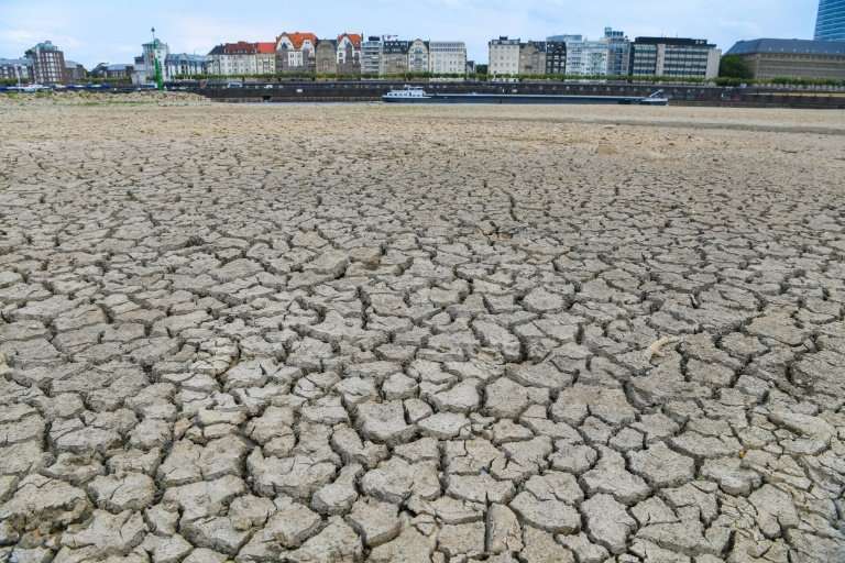 In August, the Rhine was reduced to a trickle compared with its normal flow in Duesseldorf where much of the river bed  dried ou