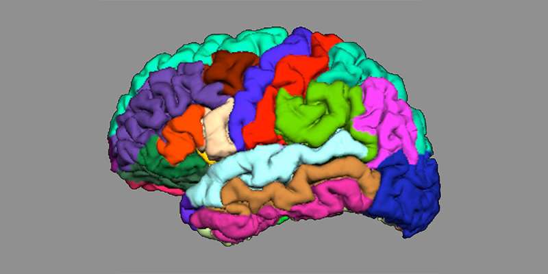 Indications of psychosis appear in cortical folding