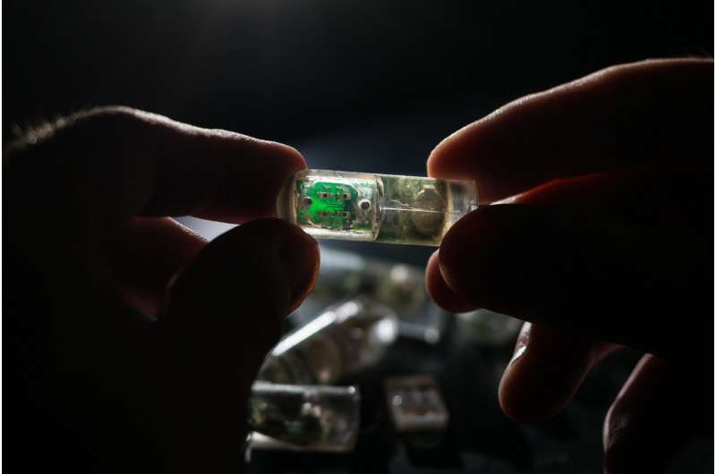 Ingestible 'bacteria on a chip' could help diagnose disease