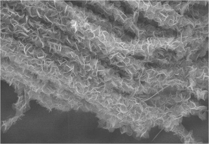 Inspired by nature: Design for new electrode could boost supercapacitors' performance