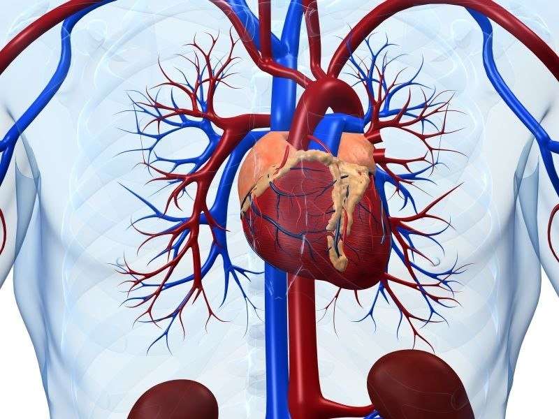 Ischemic heart disease, CHF mortality vary across VA systems
