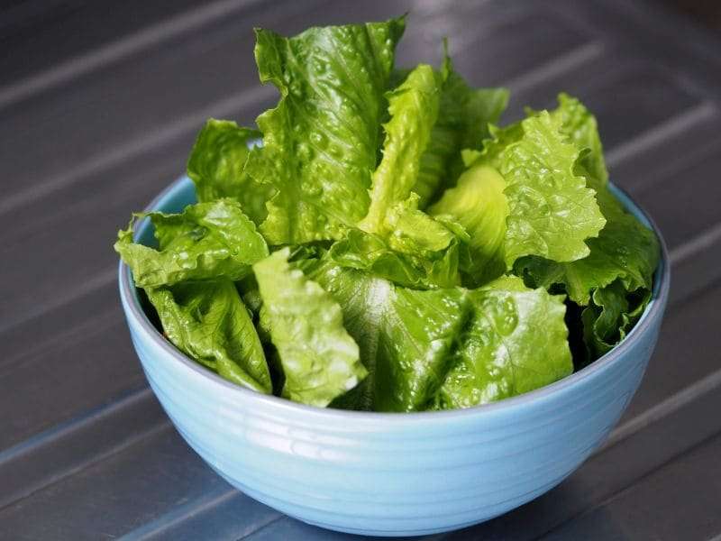 It's safe to eat romaine lettuce again, but check labels: FDA