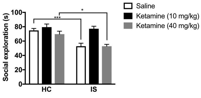 Ketamine works for female rats, too
