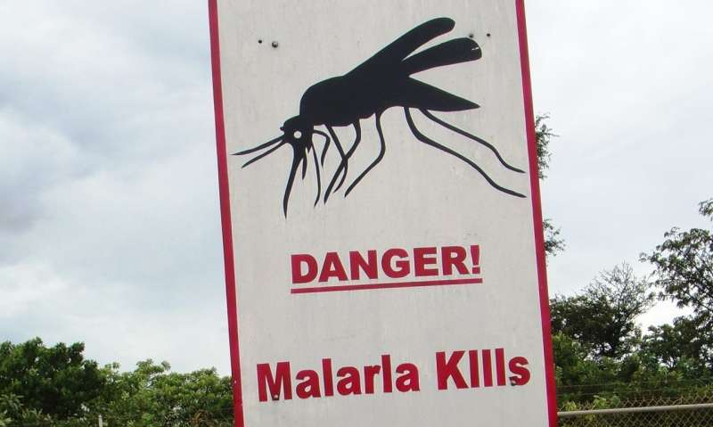 Kidney dysfunction contributes to severe malaria