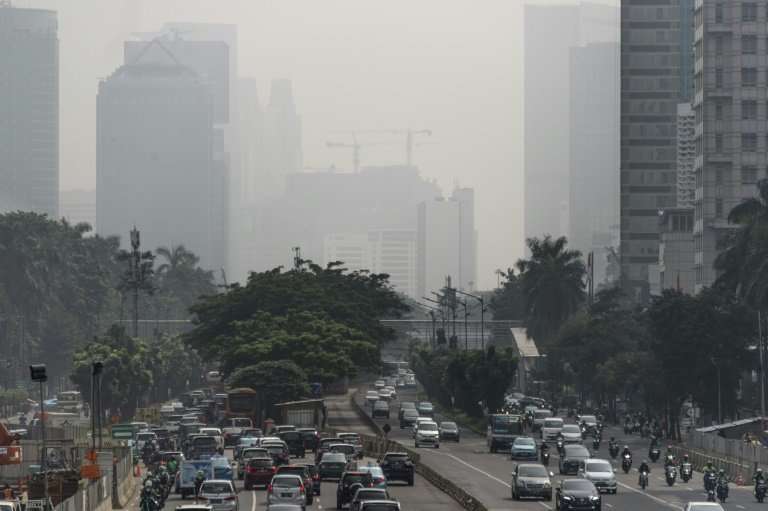 Land decay caused by factors including pollution—as seen here in Jakarta, Indonesia—and city expansion is undermining the well-b