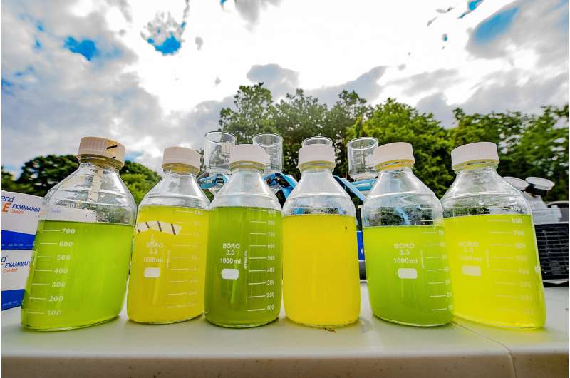 Large outdoor study shows biodiversity improves stability of algal biofuel systems