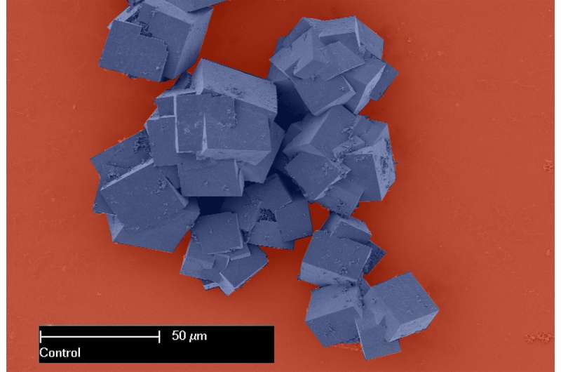 Large surface area lends superpowers to ultra-porous materials