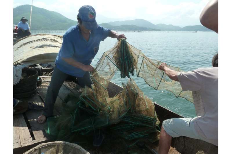 Lessons for sustainable fisheries are hiding in plain sight