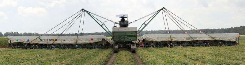 Lightweight robots harvest cucumbers