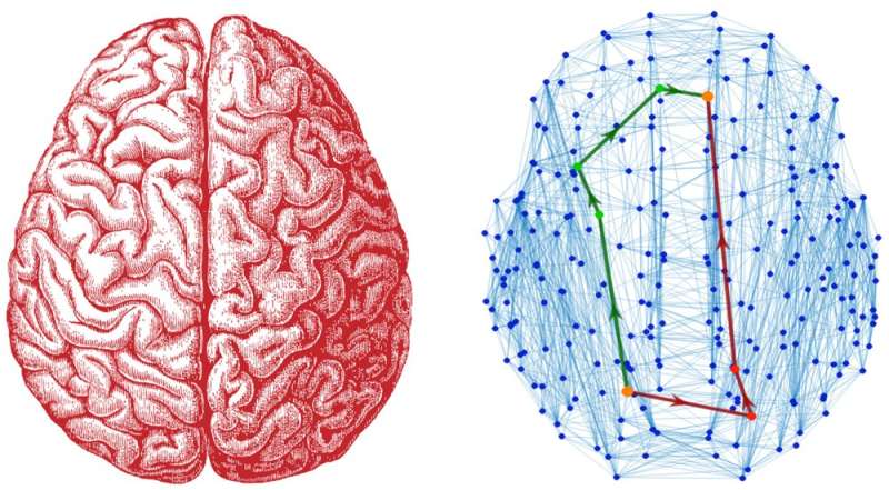 Like sightseeing in Paris – a new model for brain communication