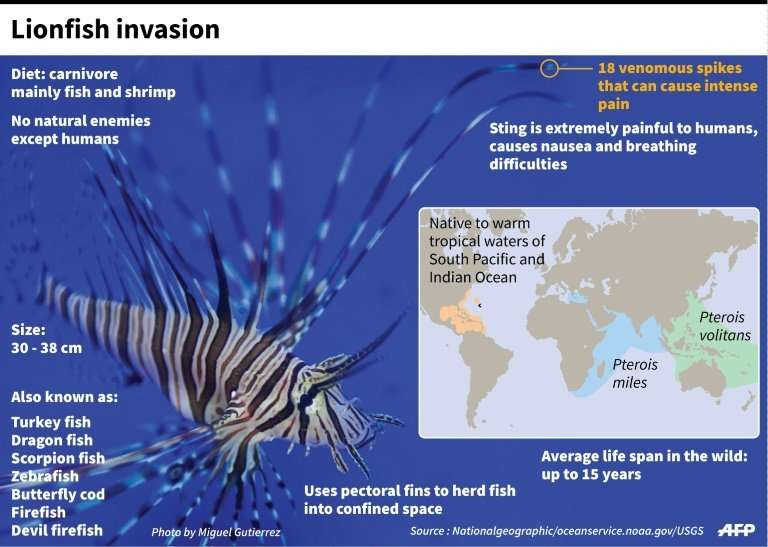 Lionfish invasion spreads south