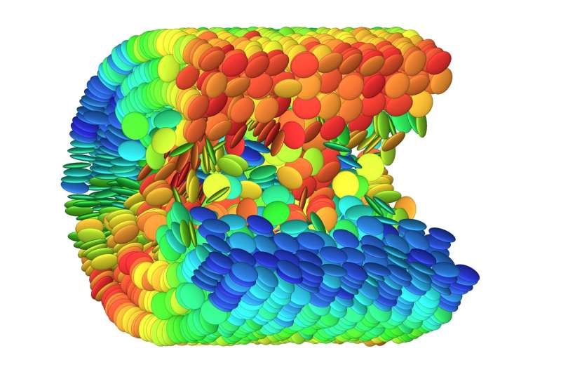 Liquid crystal molecules form nano rings