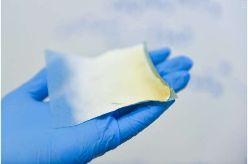 'Living bandages': NUST MISIS scientists develop biocompatible anti-burn nanofibers