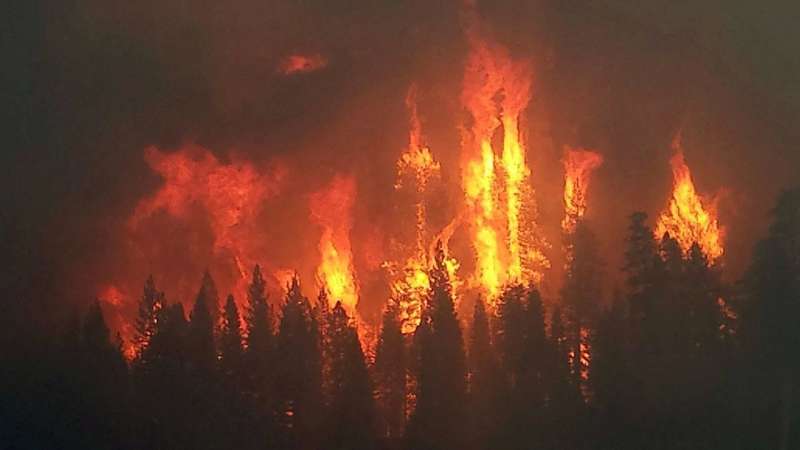 Local winds play key role in some megafires