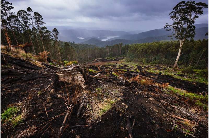 Logging must stop in Melbourne's biggest water supply catchment