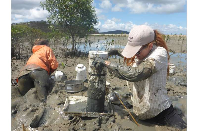 Loss of intertidal ecosystem exposes coastal communities