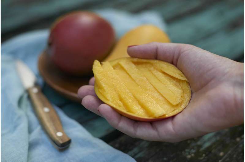 Mangoes helped improve cardiovascular and gut health in women