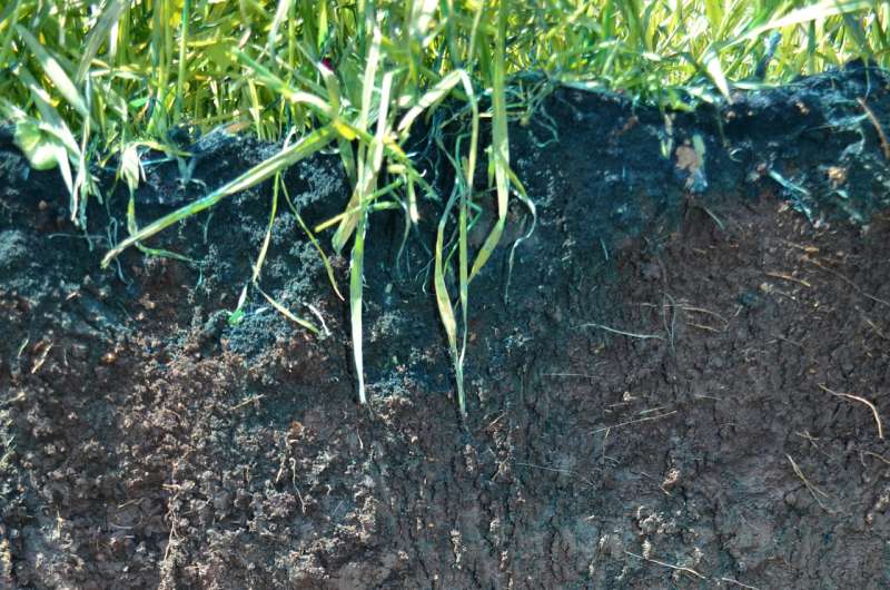 Manure slipping through (soil) cracks