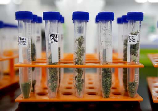 Many California marijuana products failing safety tests