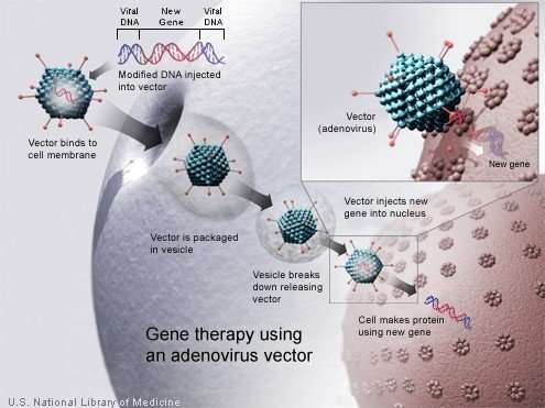 Media Availability: The coming of age of gene therapy: A review of the past and path forward