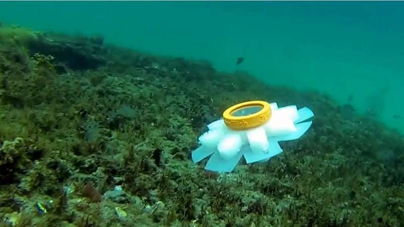Meet the new guardians of the ocean – robot jellyfish