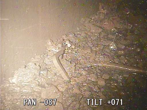 Melted nuclear fuel seen inside second Fukushima reactor
