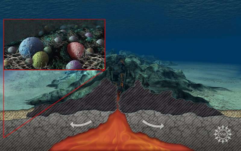 Microbes in underground aquifers beneath deep-sea Mid-Atlantic Ridge 'chow down' on carbon