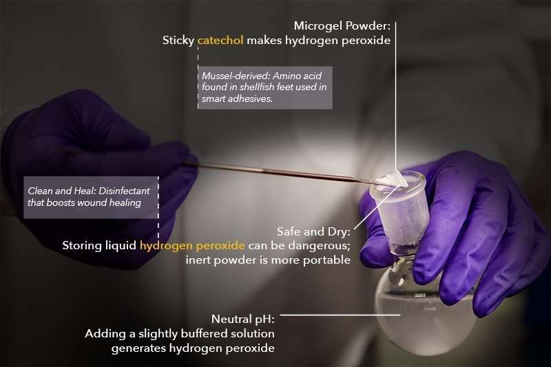 Microgel powder fights infection and helps wounds heal