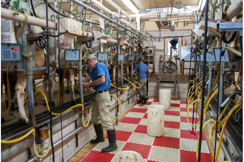 Milking cows for data – not just dairy products