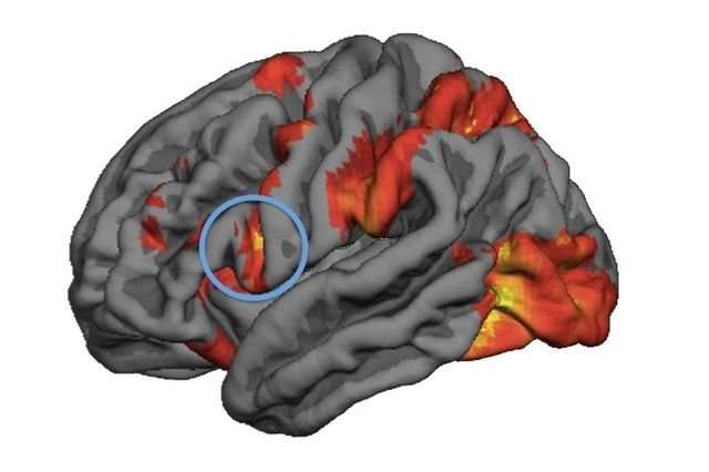 Mirror neuron activity predicts people’s decision-making in moral dilemmas, study finds