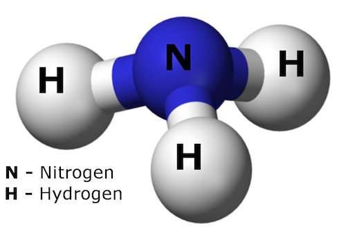 Missing link for solar hydrogen is... ammonia?