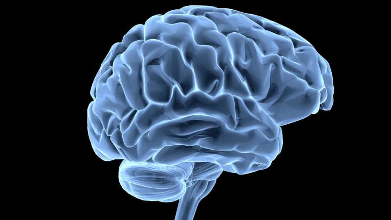 线粒体可能保护大脑免受帕金森氏症的侵袭