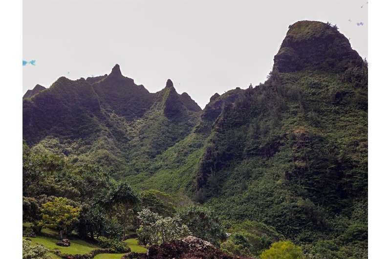 Mānoa: Hybrid forest restoration benefits communities and increases resilience