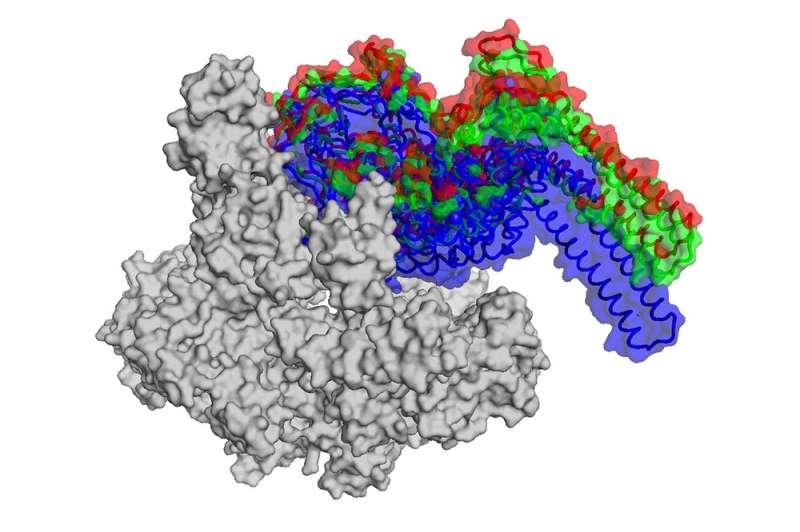 Molecular doorstop could be key to new tuberculosis drugs