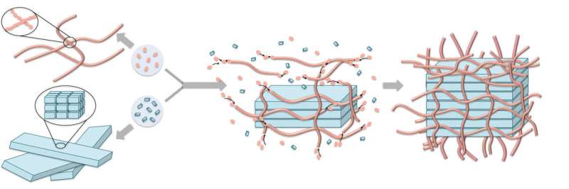 Molecular Scaffolding Aids Construction at the Nanoscale