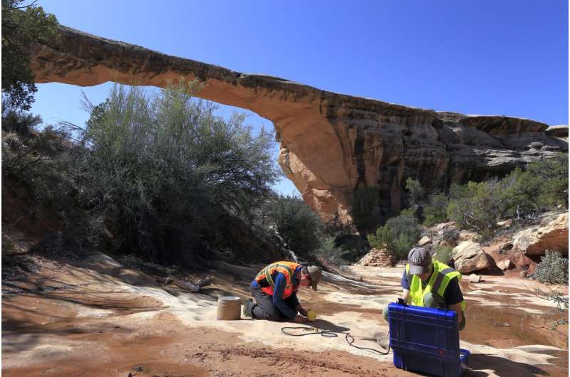 Monitoring the tremble -- and potential fall -- of natural rock arches