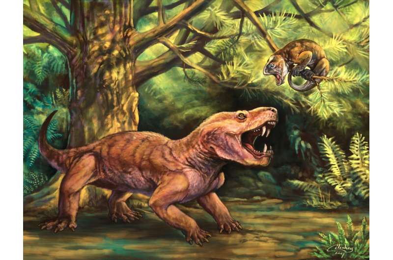 'Monstrous' new Russian saber-tooth fossils clarify early evolution of mammal lineage