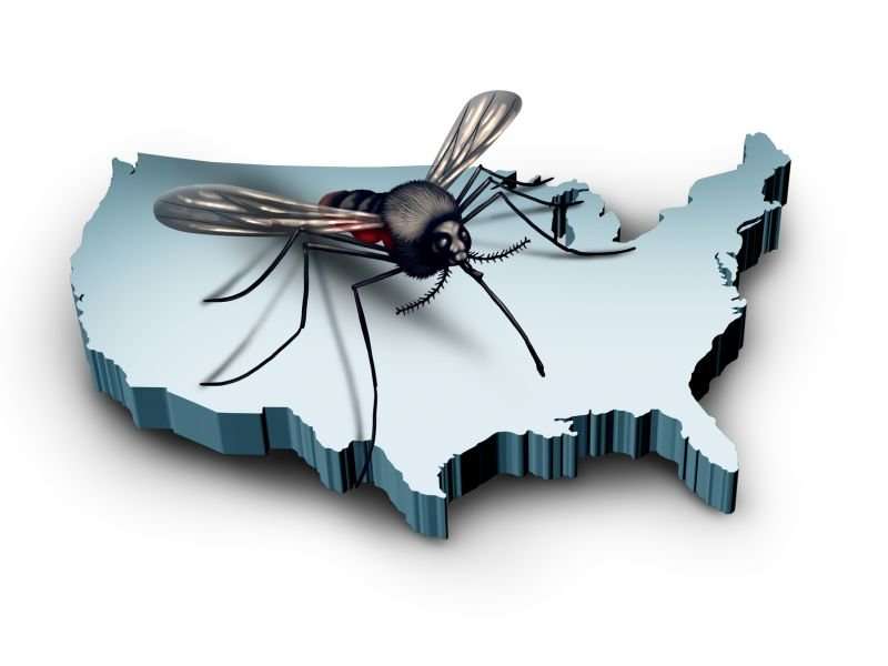 Mosquitoes spreading zika virus in parts of U.S.: CDC