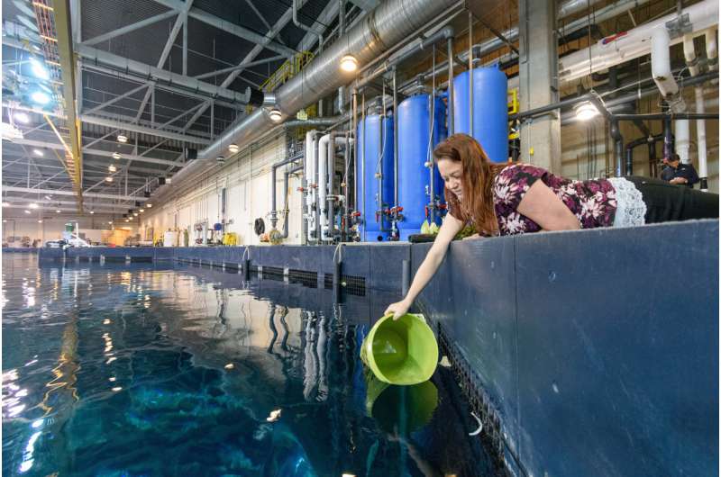 Motley crews of bacteria cleanse water at huge oceanic Georgia Aquarium exhibit