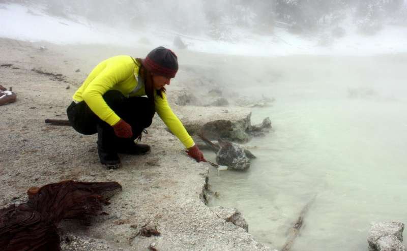 MSU researchers reveal findings about virus that lives in Yellowstone hot springs