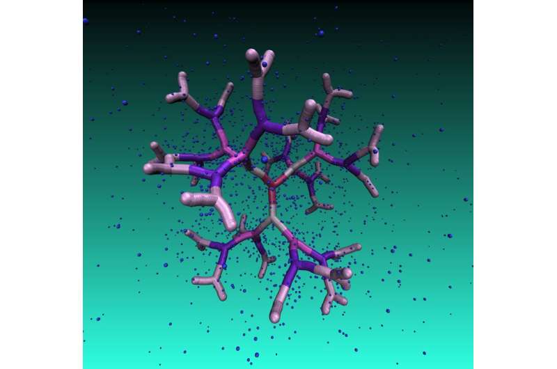Nanocages in the lab and in the computer: how DNA-based dendrimers transport nanoparticles