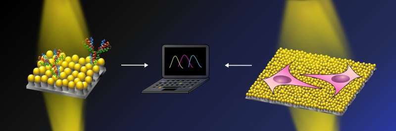 Nanomushroom sensors: One material, many applications