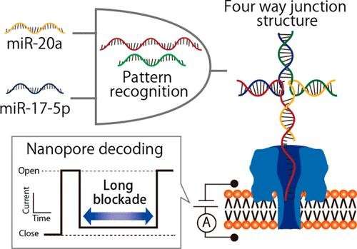 Nanopore technology with DNA computing easily detects microRNA patterns of lung cancer