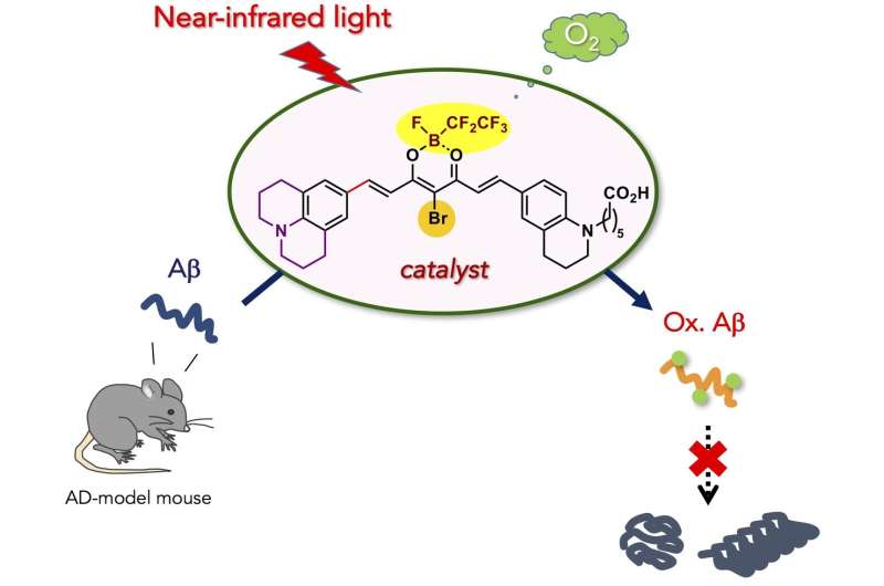 Near-infrared photoactivatable oxygenation catalysts of amyloid peptide