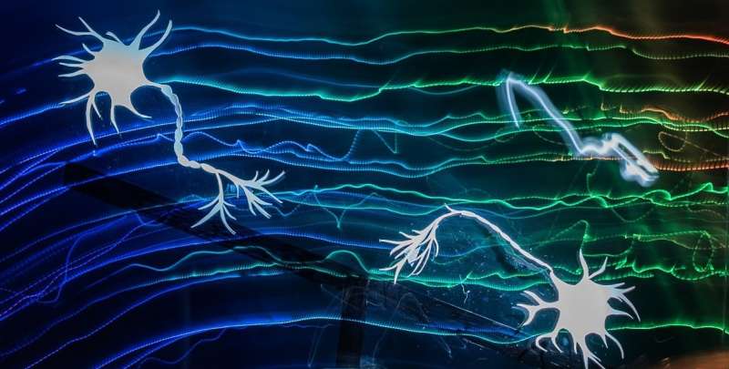Neurons can carry more than one signal at a time